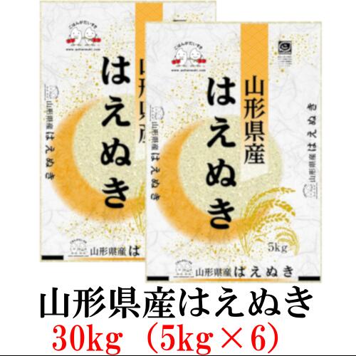 お米 30kg(5kg×6） 山形県産はえぬき 令和2年産...