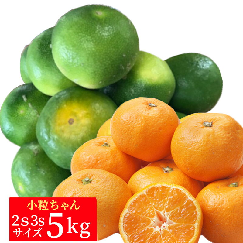 熊本産極早生ミカン小粒ちゃん（約5kg）【2S/3Sサイズ】【送料無料】【ご家庭用】【みかん】【小粒ちゃん】