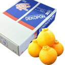 熊本産 柑橘 デコポン5