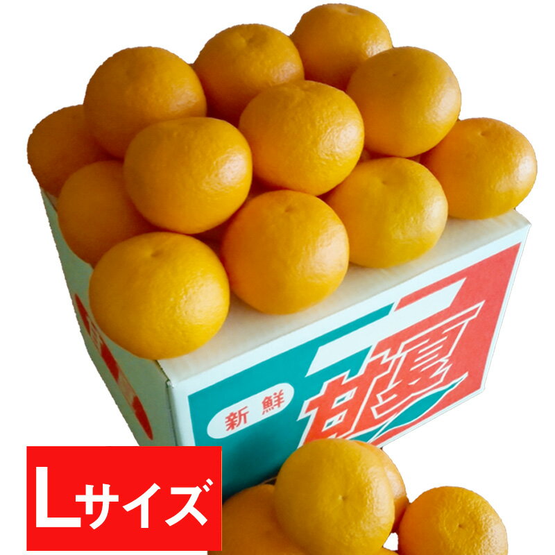 熊本産甘夏　あまなつ 10kg Lサイズ 送料無料 果物ギフト 自家用 ご家庭用 みかん 柑橘 ご贈答