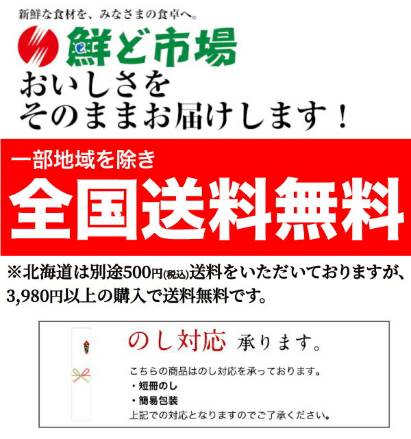 熊本産スイカ　肥後浪漫スイカ1玉（4L・5Lサイズ）(1玉約8〜10kg)【送料無料】【熊本】【スイカ】【果物ギフト】【ご贈答用】【夏ギフト】【お祝い】【贈り物】【ご家庭用】 3