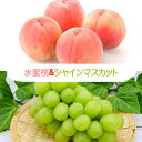 シャインマスカットと水蜜桃のセット