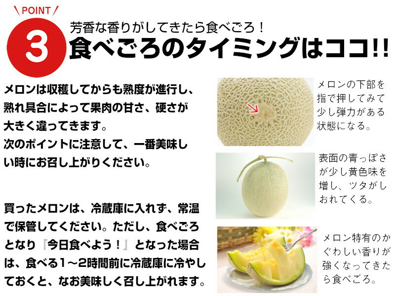 水っぽくなく しっかり旨みがある と好評 パリッと新鮮 京都ほし山 きゅうりキムチ 300g 超人気 専門店 水っぽくなく しっかり旨みがある と好評 パリッと新鮮 京都ほし山 きゅうりキムチ 300g 超人気 専門店