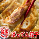 熊本 ばってん餃子54個入　【送料無料 タイガフーズ ばってん 餃子 17g×54個入 冷凍餃子 ギョーザ ぎょうざ 熊本 九州　冷凍餃子 ばってんギョーザ お取り寄せ　】