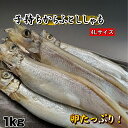 子持ちからふとししゃも【約1kg】送料無料 【冷凍】メス 子持ちからふとししゃも 約1kg お徳用 大容量 プチプチ卵たっぷり 焼くだけ簡単 魚 お弁当 おかず...