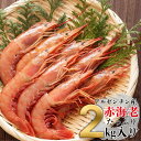 アルゼンチン産赤エビ 2kg L2サイズ 40〜60尾入 送料無料 生食用 冷凍 業務用 刺身OK 解凍後すぐ食べられる 甘エビ風 味濃厚