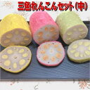 おだ商店 3色からし蓮根 約200g×3本 【送料無料】【お歳暮】【お中元】【お取り寄せ】【贈り物】【冬ギフト】【贈答用】【熊本】【地元で人気】【辛子蓮根】【熊本名物】【熊本特産】【お土産】【鮮ど市場】