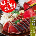鹿児島枕崎産 かつおたたき 【約1.3kg 】送料無料 かつお公社 【タレ付き】冷凍 お刺身用 ギフト 贈答 お取り寄せ 鹿児島特産 臭みなし 本場鹿児島 人気...