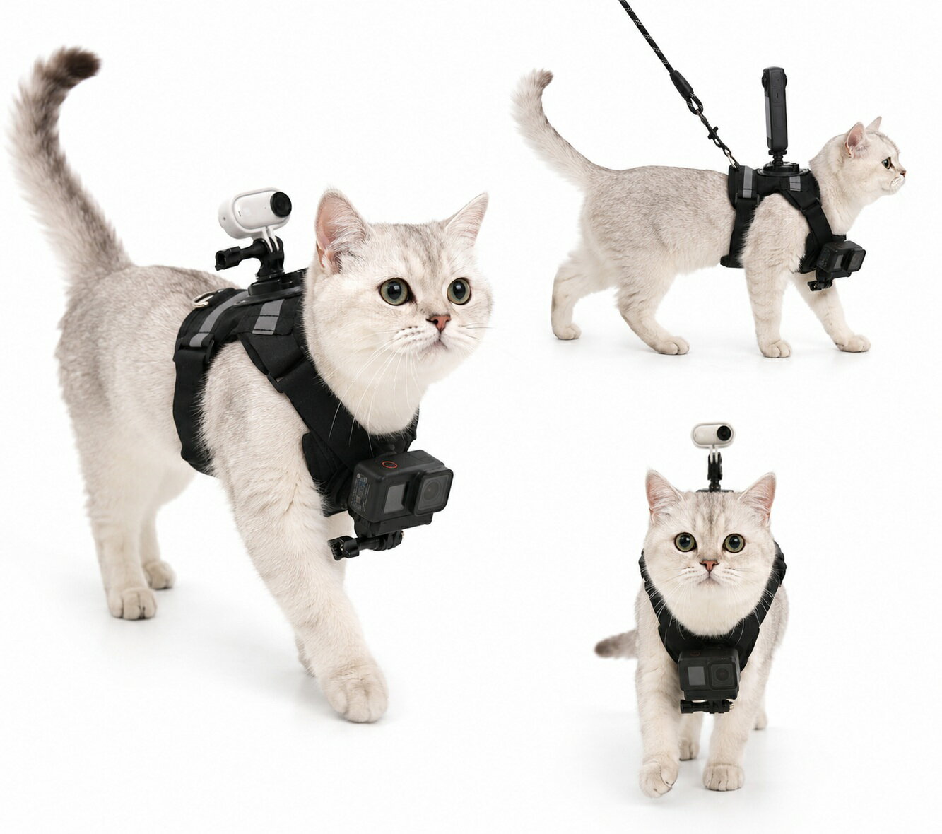 GoPro Fetch 猫用ハーネス アクションカメラ マウント 背中 胸元 2WAY装着 猫視点 撮影ベルト DJI Osmo Action Insta360 Ace Pro GO 3 GoPro対応 ネコ用 カメラ固定 バックマウント チェストマウント 軽量 調節可能 散歩 旅行 Vlog ペット用品 ゴープロ フェッチ対応