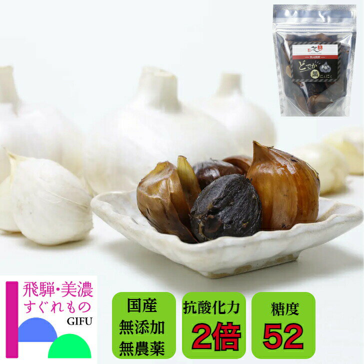 どでか黒にんにく ジャンボにんにく しばの農園 「飛騨・美濃すぐれもの」認定品 無添加 農薬不使用 国産