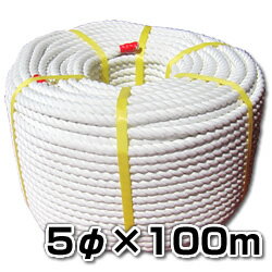 エステルSロープ【巻売】　5φx100m　舫やアンカーロープに！