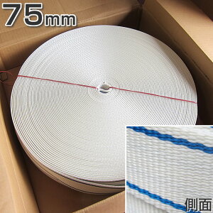 ホーサーPETベルトカバー 幅75mm × 長さ100m × 厚み3.8mm 白色・青線入 【東京製綱繊維ロープ】