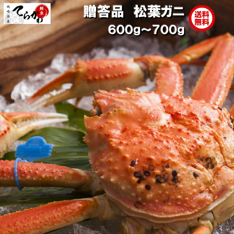 新物予約【送料無料 指定日OK】ギフト正規品 1匹入(約600g〜700g)プロが釜茹でした極上の『松葉がに』(ボイル)茹でたて未冷凍のタグ付 まつばがに 松葉かに 松葉カニ 松葉蟹 かに カニ 蟹 ズワイガニ ずわいがに 津居山ガニ 城崎温泉 朝茹で