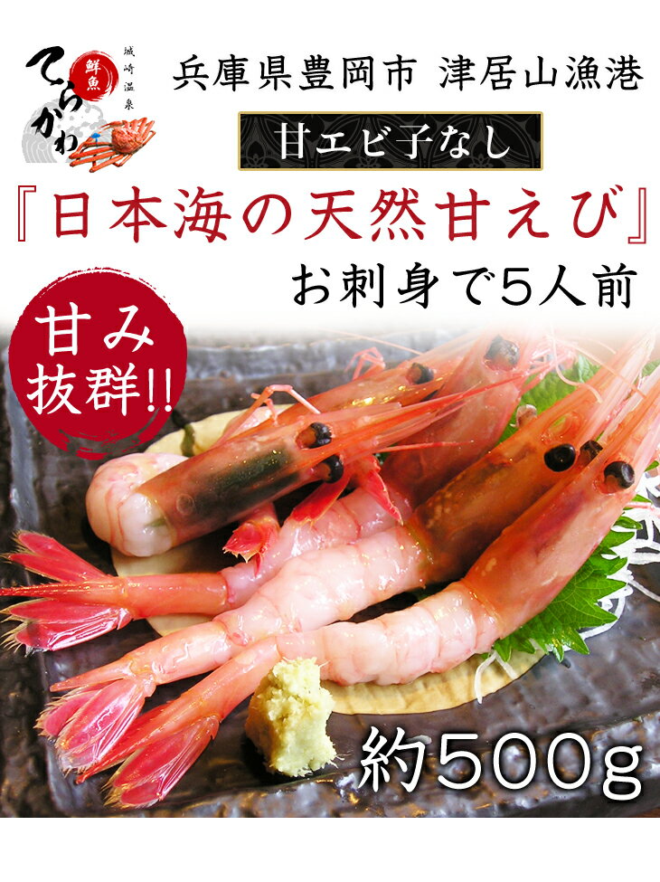 ひな祭り ホワイトデー【送料無料 指定日OK】ブランド山陰の天然 子なし甘えび500g(大サイズ24匹：2〜5人前)無添加・無着色エビ えび あまえび アマエビ 甘エビ 甘海老 日本海 甘エビ ギフト　お歳暮　御歳暮