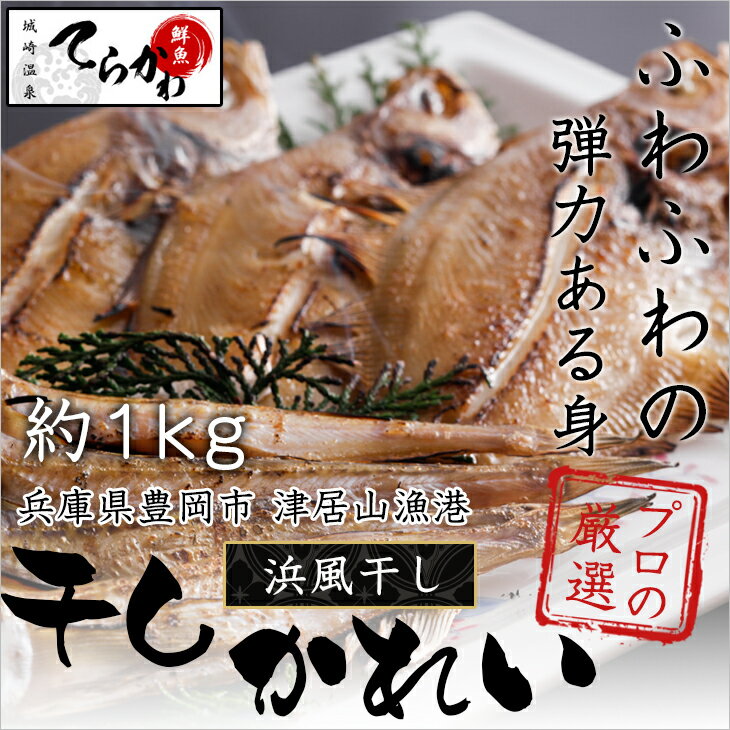 【送料無料今晩のおかずは 1kg】一夜干し 天然 浜風干し かれい セット1kg(山陰名産えてかれい)一夜干しかれい 一夜干し 鰈(カレイ)一夜干しカレイ 日本海 えてかれい 干物