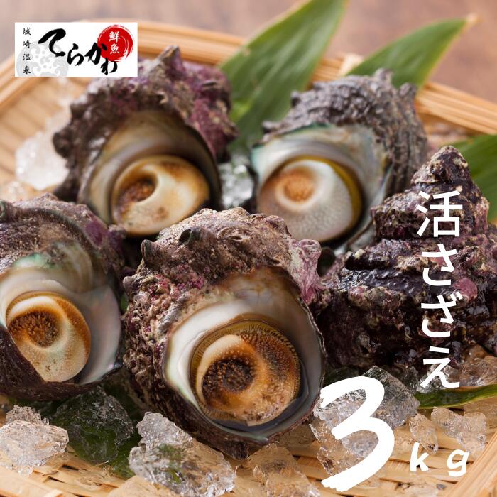 【送料無料 指定日OK】活 サザエ3kg