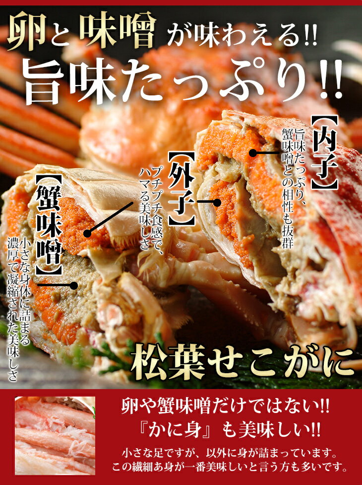 味は別格!秘密のケンミンショーで話題【送料無料 指定日OK】釜茹で未冷凍でお届け！松葉セコガニ 約1kg（小サイズ5~10枚)城崎温泉 せこがに セコガニ　松葉せこがに　セコガニ1kg　せこかに せいこがに せいこ蟹 セイコガニ せいこかに 松葉ガニ こっぺ 香箱