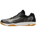 mizuno/MIZUNO FLY/V1GA233001
