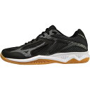 mizuno/THUNDER BLADE 3/V1GA217006