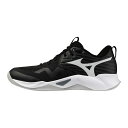 MIZUNO/ミズノ ウェーブ モーメンタム プロ/V1GA254054