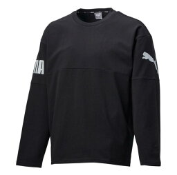 PUMA/PUMA POWER オーバーサイズLS　Tシャツ/671878