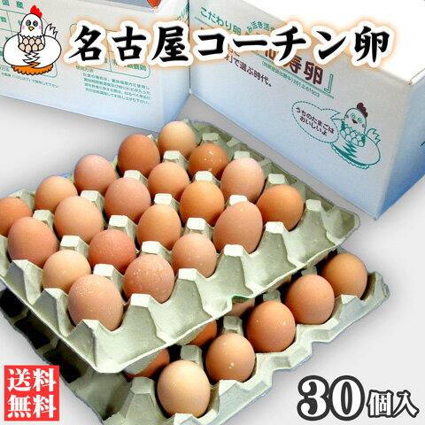 【送料無料】名古屋コーチン卵30個入（破損保証3個を含む）