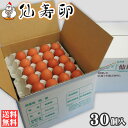【送料無料】仙寿卵30個入(破損保証3個を含む)