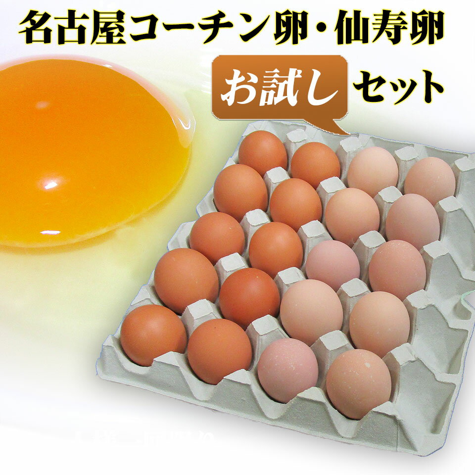 本場愛知県小牧市の名古屋コーチン卵と黄身活き活き仙寿卵の各10個セットです。 名古屋コーチンの卵は美しい桜色をした卵殻が特徴で、白い斑点がついているものも多くみられます。卵はやや小ぶりですが、卵黄の色は濃く、粘度が高く、舌触りは滑らかで、味は濃厚。「コク」のある美味しさがあります。商品説明 名称 鶏卵 内容量 20個(名古屋コーチン卵10個、仙寿卵10個)　フリーサイズ 産地名 愛知県産 選別包装者 有限会社河瀬養鶏愛知県小牧市大草5715河瀬秀哉 賞味期限 卵の鮮度は温度に大変影響されますので、冷蔵庫（10度以下）で保存の上、新鮮で美味しいうちにぜひお召し上がり下さい。 保存方法 必ず冷蔵庫（10度以下）での保管をお願い致します。 使用方法 生食で食べられる期間は、約3週間（要冷蔵）になります。それ以降は、十分に火を通してお召し上がりください。