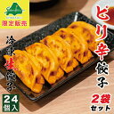 西山製麺 冷凍生餃子 ピリ辛 24個入 送料無料 業務用 惣菜 ぎょうざ 水餃子 もちもち 中華 ラーメン 西山 国産 お取り寄せ 自宅 お土産 北海道 バレンタイン
