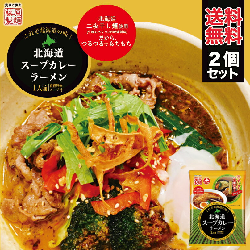 藤原製麺 北海道スープカレーラーメン 1食 2個セット ...