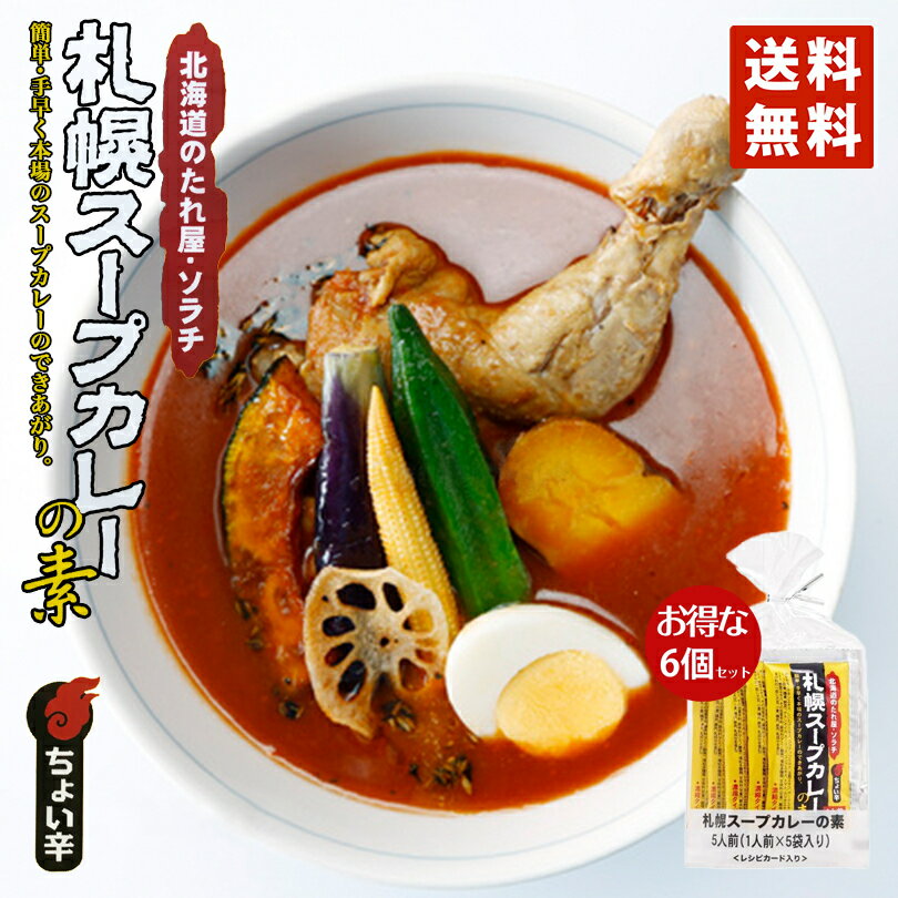カレー ソラチ 札幌スープカレーの素 6個セット (5袋入×6個) メール便 北海道 お土産 送料無料 話題 プレゼント お手軽 ギフト バレンタインのサムネイル