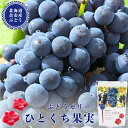 HORI(ホリ) ぶどうゼリー ひとくち果実 (夕張産) 12個入 北海道 お土産 贈り物 プレゼント お返し お祝い 内祝い お年賀 バレンタインデー ホワイトデー お彼岸 母の日 お中元 七五三 クリスマス お歳暮 ゼリー ギフトバレンタイン(4)