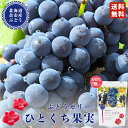 HORI(ホリ) ぶどうゼリー ひとくち果実 (夕張産) 12個入×2個セット 北海道 メール便 お土産 ゼリー ギフト 贈り物 プレゼント お返し お祝い 内祝い お年賀 バレンタインデー ホワイトデー お彼岸 母の日 お中元 七五三 クリスマス お歳暮 バレンタイン