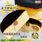 北海道 名物 ようかんパン 送料無料 日糧製パン 限定 羊羹 菓子パン ご当地 あんぱん 白あん 餡 金時豆 牛乳 北海道産 人気 お菓子 ギフト プレゼント バレンタイン