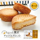 ちょっと贅沢 チョコinガレット 10個入 北海道 スイーツ おみやげ チョコレートケーキ 洋菓子 タルト プレゼント お土産 バレンタインの商品画像