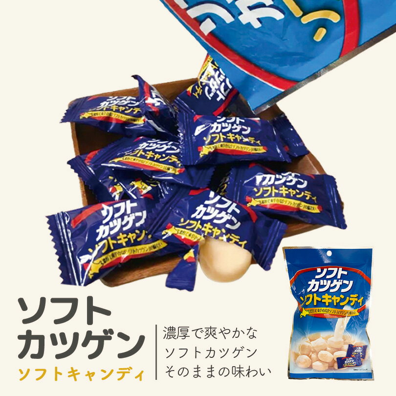 ソフトカツゲン ソフトキャンディ ×5個セット 送料無料 送料込み 北海道 カツゲン キャンディ 乳酸菌飲料 乳酸菌 爽やか おいしい バレンタイン 飴 あめ 北海道限定 人気