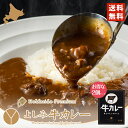 カレー レトルト よしみ牛カレー200g×2個セット YOSHIMI メール便 送料無料 北海道 お土産 札幌 プレゼント ギフト お取り寄せ 自宅 牛肉 人気店 バレンタイン