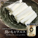 長いもピクルス 220g 送料無料 ノースファームストック NFS 北海道産 ながいも ピクルス 洋風漬物 サラダ ご当地 お土産 ギフト プレゼント 贈り物