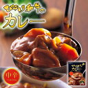 びらとり和牛カレー (中辛) 黒毛和牛 北海道 カレー レトルト 平取 和牛 A-5ランク お土産 手土産 プレゼント