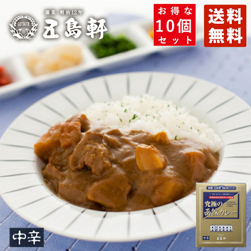 五島軒 カレー レトルト 究極の函館カレー 210g×10個セット 中辛 北海道 レトルト食品 お土産 ギフト お取りいよせ プレゼント バレンタイン