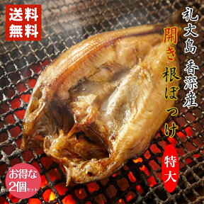 特大 開き根ぼっけ　500g ×2個セット 香深産 送料無料 北海道 礼文島 干物 北海道産 お土産 プレゼント ギフト 送料込 ほっけ ホッケ バレンタイン