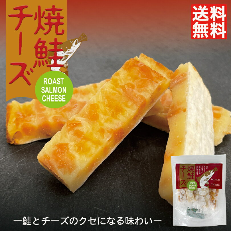 焼鮭チーズ 48g 7個入 送料無料 送料込み 丸市食品 北海道 お土産 鮭 サーモン チーズ 珍味 おつまみ お菓子 ギフト プレゼント お取り寄せ 贈り物 バレンタイン