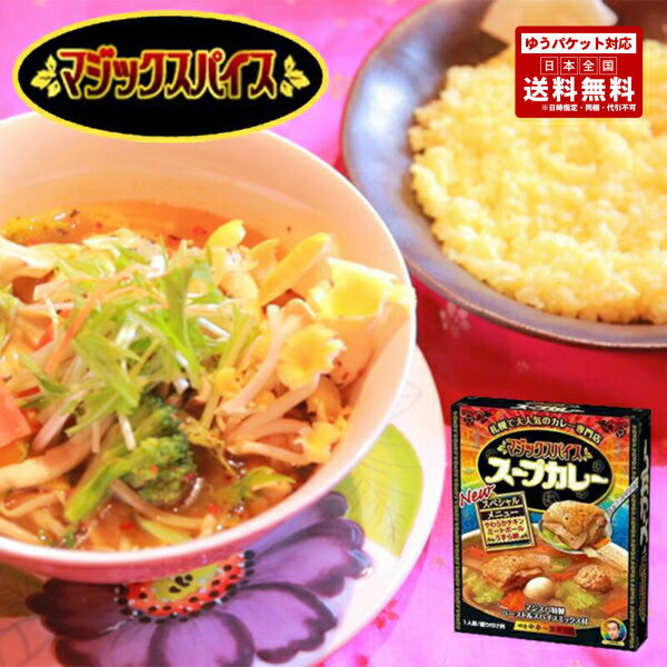 マジックスパイス スープカレー 1箱 送料無料 メール便 日付指定不可 北海道 札幌 スパイス インドネシアカレー お土産 手土産 贈り物 プレゼント レトルト