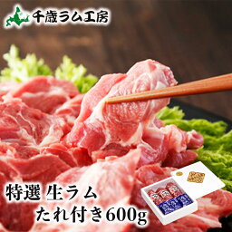 千歳ラム工房 特選生ラム冷凍 たれ付き 600g ジンギスカン 焼肉 BBQ バーベキュー 北海道 羊肉 肉の山本 お土産 おみやげ プレゼント ギフト バレンタイン