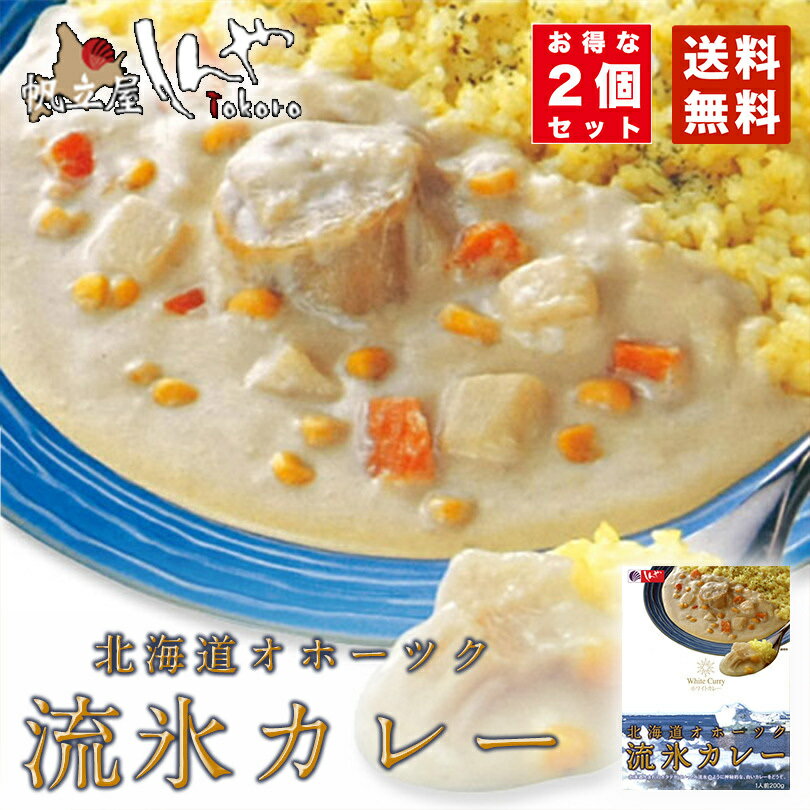 カレー レトルト 北海道オホーツク流氷カレー 200g×2個セット 送料無料 メール便 北海道 オホーツク お土産 ギフト プレゼント ご当地 お土産 テレビ 話題 メディア