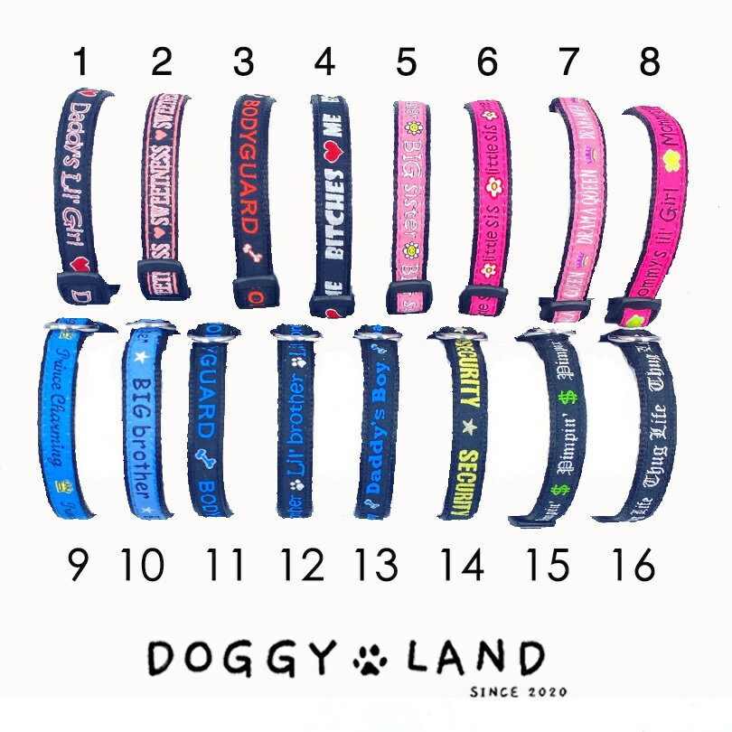 1000円ポッキリ ワンタッチバックル付き首輪 リード 2点セット 【16種類から選べる】小型犬用 送料無料 犬 首輪 犬首輪 犬の首輪 調整可能 犬 服 小型...
