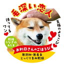 犬用 おやつ 毛深い恋人 うなぎのあたま お利口さんのごほうび 送料無料 北海道産 おやつ 犬 フード ペットフード お土産 うなぎ