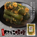 惣菜 青唐胡瓜ちびっこ味噌 260g 2個セット 送料無料 メール便 きゅうり 漬物 お酒のお供 ご飯のお供 辛味噌 味噌 信州の味 おつまみ 万能調味料 プレゼント お土産 バレンタイン