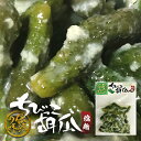 惣菜 塩麹ちびっこ胡瓜 250g 塩麹 きゅうり 漬物 お酒のお供 ご飯のお供 おつまみ ピリ辛 プレゼント お土産バレンタイン