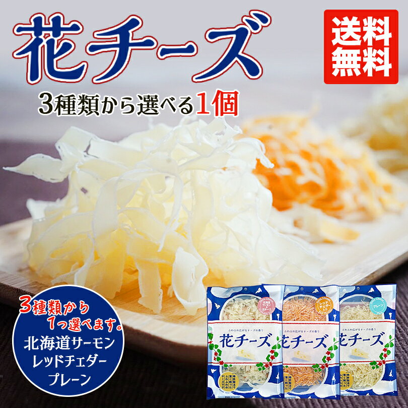 3種類から1個選べる 花チーズ 【プレーン レッドチェダー 北海道サーモン】 送料無料 メール便 送料込み ちーず チーズ 北海道 おつまみ ギフト 珍味 贈り物 ワイン ピザ ふんわり お菓子 大容量 酒のつまみ 北海道限定 話題 特許 薄削 バレンタイン
